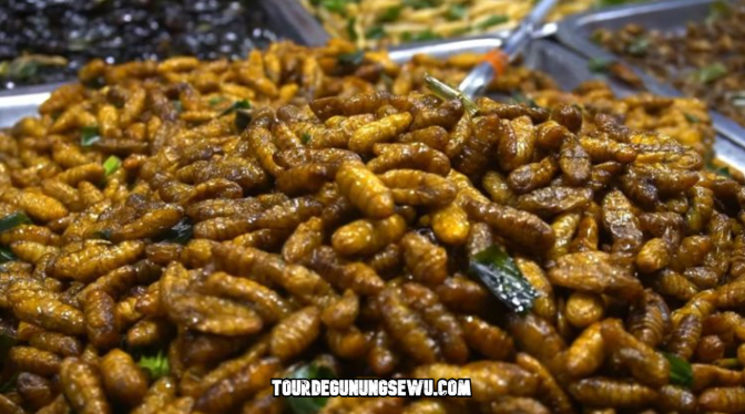 10 Kuliner Ekstrem Indonesia yang Menantang Selera Petualang