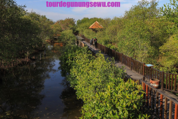 5 Tempat Wisata Di Surabaya Paling Aesthetic Di Tahun 2025!